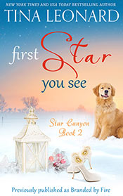 Star Canyon Series Book 2 - First Star You See