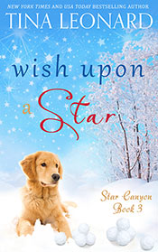Star Canyon Series Book 3 - Wish Upon a Star
